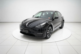 特斯拉 Model Y 2021款 长续航全轮驱动版