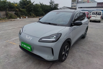 五菱汽车 五菱缤果PLUS 2024款 330km 五座版