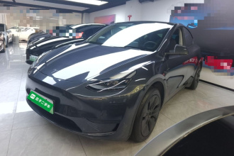 特斯拉 Model Y 2024款 后轮驱动版