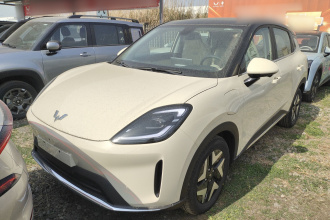 五菱汽车 缤果S 2025款 325km 旗舰款