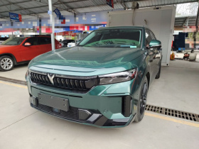 岚图汽车 岚图FREE 2024款 超长续航智驾版