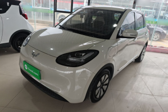 五菱汽车 五菱缤果 2023款 333km 悦享+款