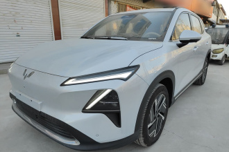 五菱汽车 五菱星光S 2024款 130km 旗舰型