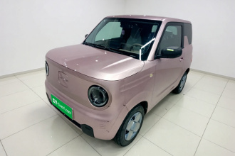 吉利银河 2023款 熊猫mini 200km 耐力熊