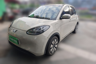 五菱汽车 五菱缤果 2024款 333km 悦享款