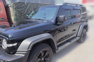 坦克300 2021款 越野版 2.0T 征服者