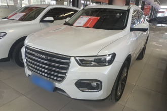 哈弗H6 2020款 1.5GDIT 自动铂金冠军版