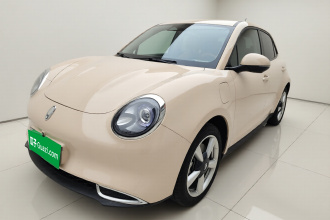 欧拉好猫 2023款 401km标准续航 尊贵型 磷酸铁锂