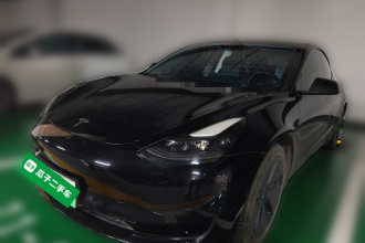 特斯拉 Model 3 2020款 改款 标准续航后驱升级版