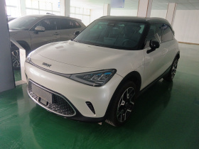 smart精灵#1 2022款 Pulse心动版