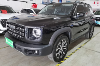 哈弗大狗 2022款 1.5T DCT两驱边牧版