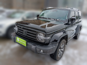 坦克300 2021款 城市版 2.0T 很有型