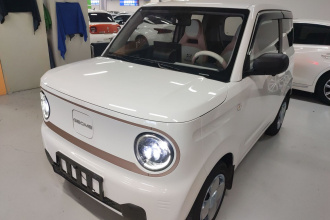 吉利银河 2024款 改款 熊猫mini 200km 龙腾版