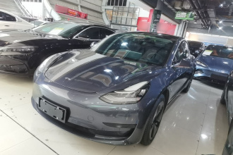 特斯拉 Model 3 2019款 标准续航后驱升级版