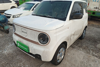 吉利银河 2024款 熊猫mini 200km 耐力熊