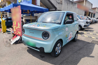 吉利银河 2023款 熊猫mini 200km 耐力熊