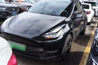 特斯拉 Model Y 2021款 标准续航后驱版