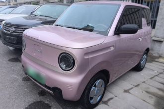 吉利银河 2023款 熊猫mini 200km 耐力熊