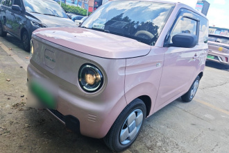 吉利银河 2023款 熊猫mini 200km 耐力熊