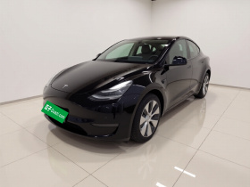 特斯拉 Model Y 2021款 长续航全轮驱动版