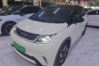 比亚迪 海豚 2021款 405km 时尚版