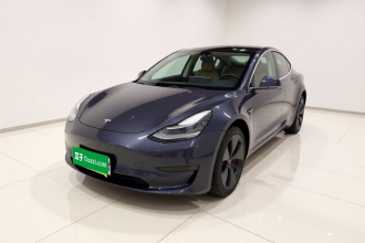 特斯拉 Model 3 2020款 改款 标准续航后驱升级版