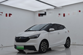 江铃集团新能源 易至EV3 2022款 小雷达悦跑型