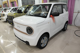 吉利银河 2024款 熊猫mini 200km 耐力熊