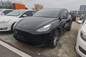 特斯拉 Model Y 2021款 长续航全轮驱动版