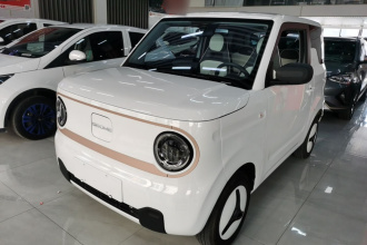 吉利银河 2024款 熊猫mini 200km 耐力熊