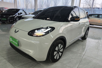 五菱汽车 五菱缤果 2024款 333km 灵犀互联款