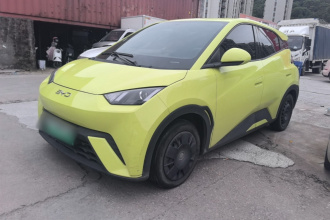 比亚迪 海鸥 2024款 荣耀版 305km 活力版