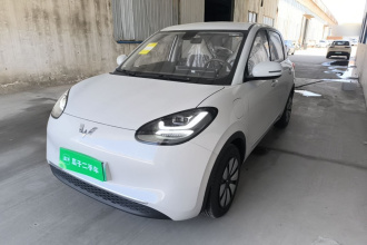 五菱汽车 五菱缤果 2025款 333km 悦享款