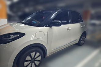五菱汽车 五菱缤果 2023款 333km 悦享+款