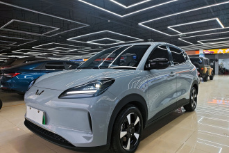 五菱汽车 五菱缤果PLUS 2024款 330km 五座版
