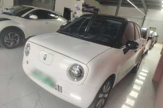 欧拉黑猫 2021款 351km 标准型