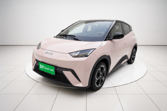 比亚迪 海鸥 2024款 荣耀版 305km 自由版