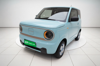 吉利银河 2024款 熊猫mini 200km 耐力熊