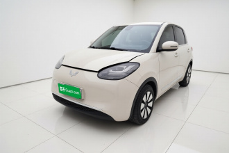 五菱汽车 五菱缤果 2023款 203km 舒享款