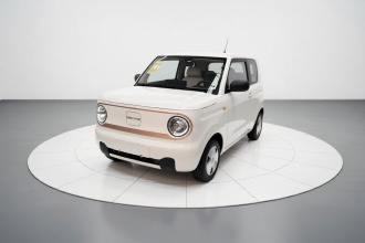 吉利银河 2024款 熊猫mini 200km 耐力熊