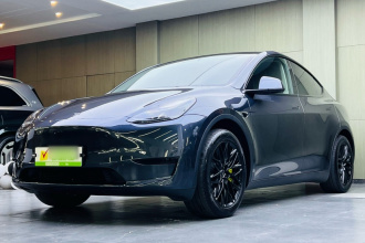 特斯拉 Model Y 2024款 后轮驱动版