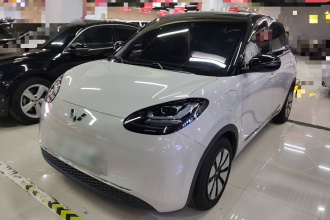 五菱汽车 五菱缤果 2024款 333km 灵犀互联款