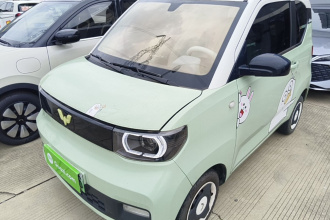 五菱汽车 宏光MINIEV 2021款 马卡龙时尚款 磷酸铁锂