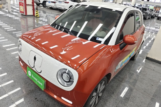 欧拉黑猫 2021款 351km 豪华型