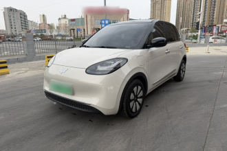 五菱汽车 五菱缤果 2024款 333km 悦享款