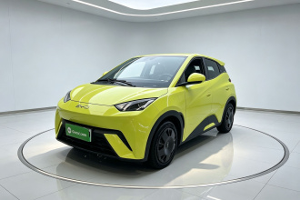 比亚迪 海鸥 2024款 荣耀版 305km 活力版