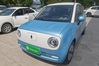 欧拉黑猫 2021款 301km 基础型