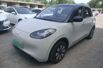 五菱汽车 五菱缤果 2024款 333km 悦享款