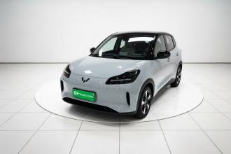 五菱汽车 五菱缤果PLUS 2024款 510km 五座版