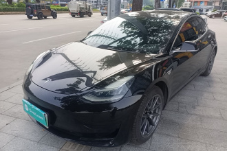 特斯拉 Model 3 2020款 标准续航后驱升级版